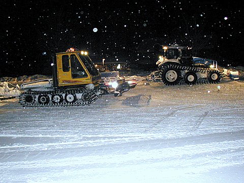 Newberry and Paradise groomers